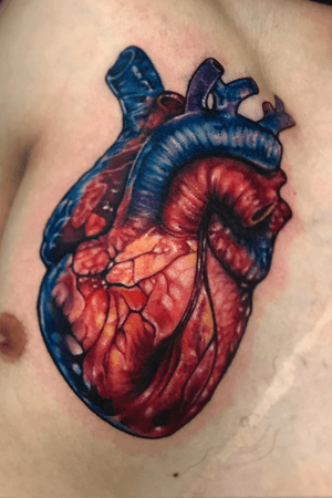 #heart #anatomicalheart #color #realism