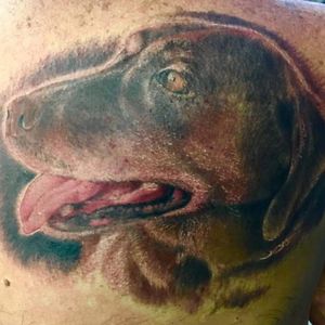 #dog #doggo #pup #puppy #pet #realism #real #protrait #realisticTattoo by Tucker