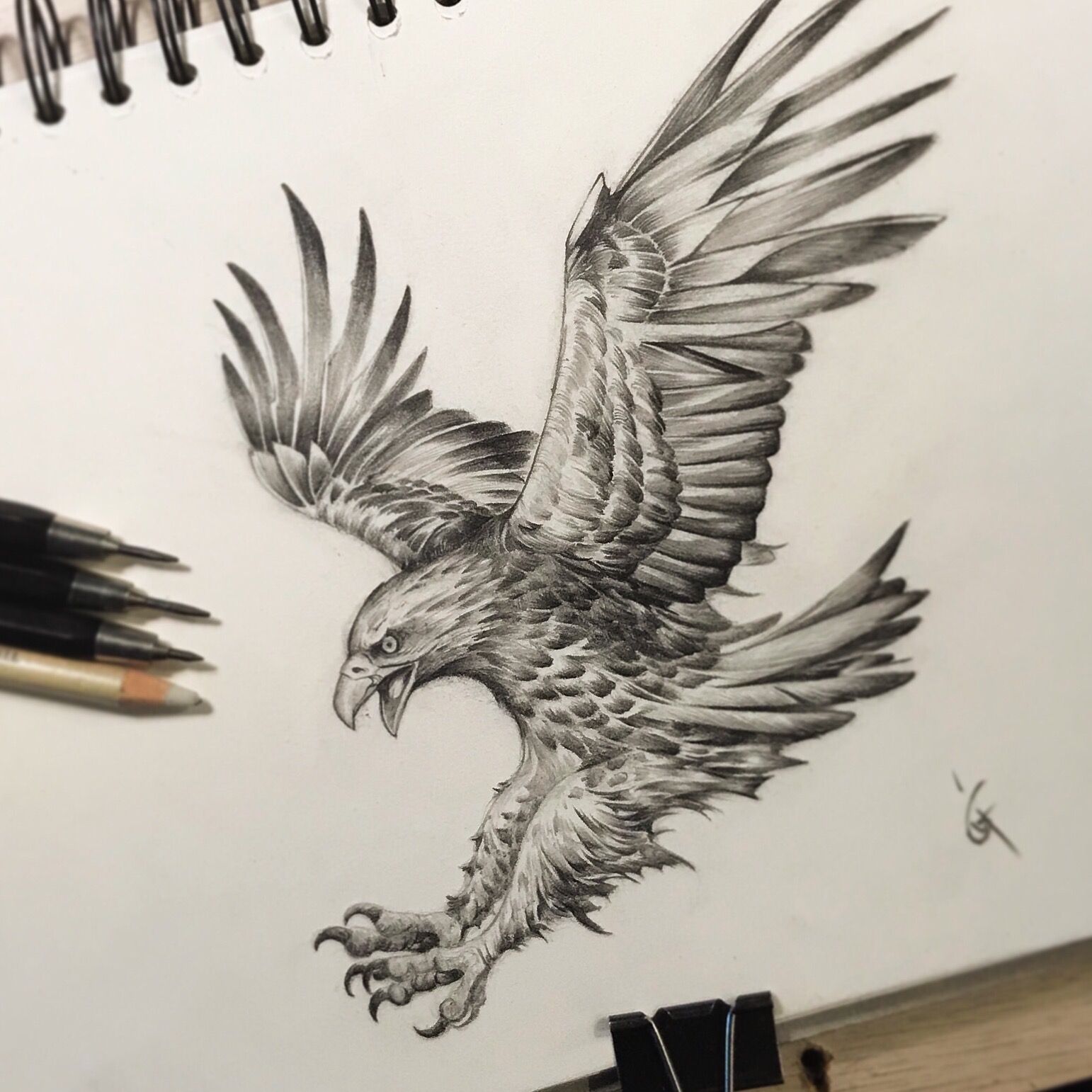 The Eagle, Bird of Prey