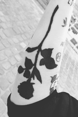 Balck rose tattoo, on my arm