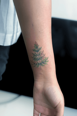 Fern Leaf🍃                                                         #tattoo #tattoos #tatts #uk #nottingham #colourfultattoos #watercolourtattoo #flowertattoo #botanicaltattoo #botanicaltattoodesign #floraltattoodesign #floralladytattoo #fernleaftattoo #fernleaf #fernleafdesign #fernleaftattoodesign #flowerladytattoo #flowers #colour #uktattoos #nottinghamtattoos #inked #ink #colours #floral #floraltattoo #tattooideas #tattoodesign #details #tattoodetails #greenpower #green 