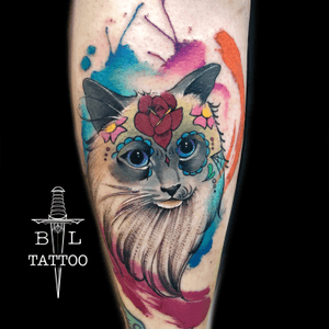 #cat #cartattoo #dayofthedead #dayofthedeadtattoo #colour #colourwork #watercolour #watercolourtattoo #dotwork #blackwork