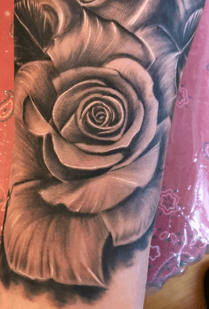 Rose detail 