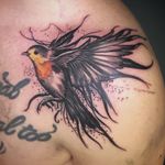 Made this dark #robin on Saturday! Thanks Robin for trusting me! #bird #red #shouldertattoo #tattoo #tatts #tattoodo #tattoolovers #art #instaart #instaartist #artistofinstagram #artwork #ink #inked #tattooing #tattooist #tattoolove #tattooer #blackwork #tätowierung #tätowiert #darkartists #berlin #berlintattooers #subculturetattoo #guiartwork #kreuzberg #friedrischain