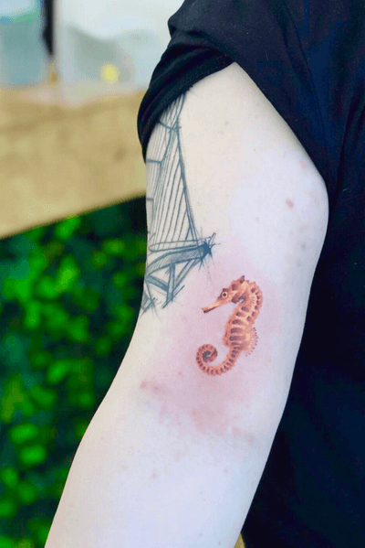 small seahorse tattoo designs