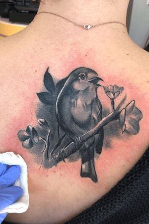 Black and gray burd cover up. 