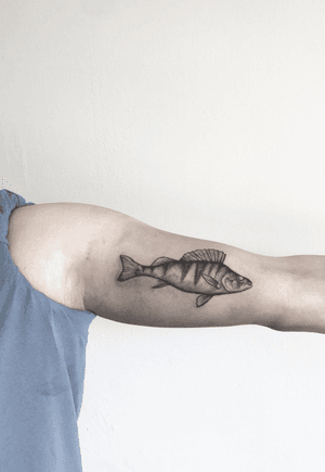 #fishtattoo #fish #dotwork #blackwork #tattoo #fineline #realism #perch #perchtattoo