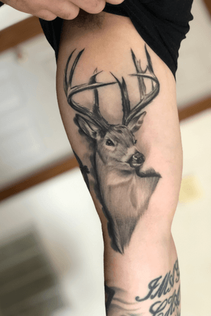 Fully Healed Deer 