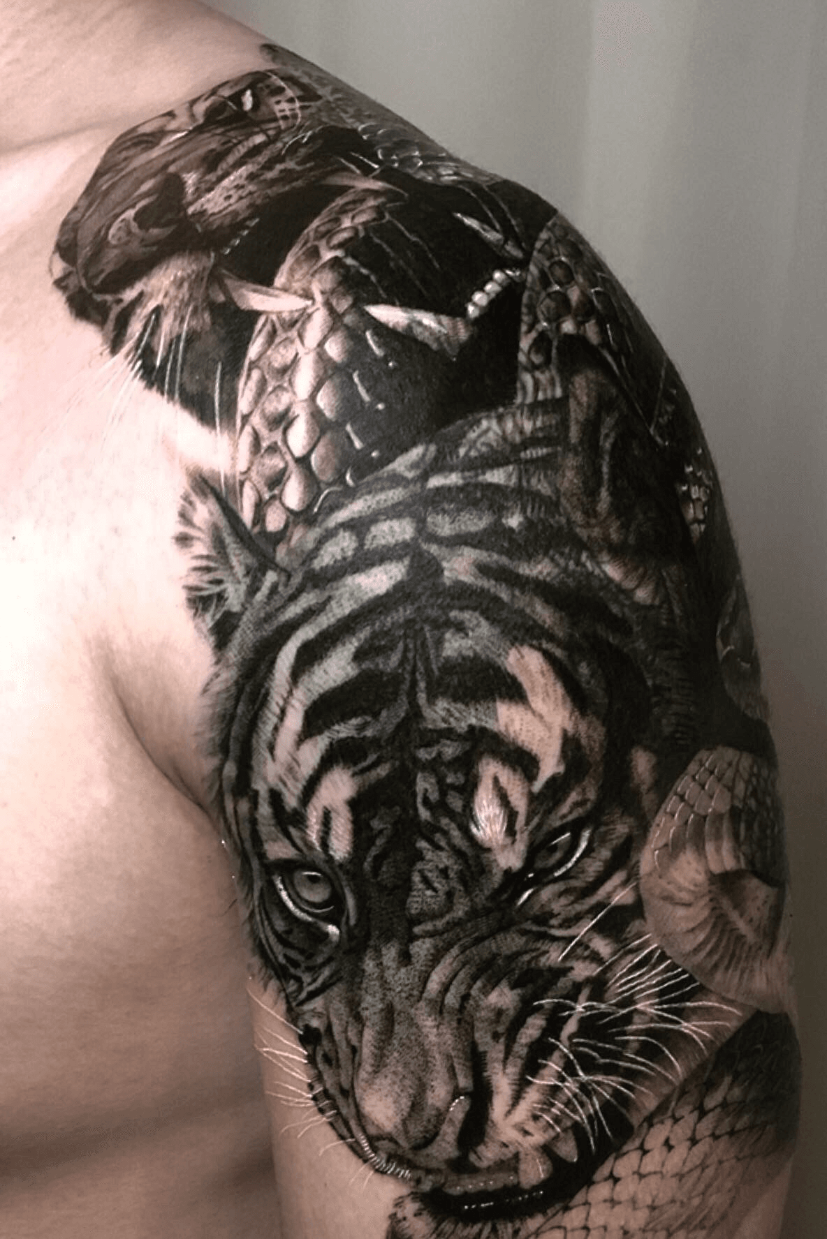 snake and tiger tattoo - Google Search | Tiger tattoo design, Tiger tattoo  images, Lion tattoo