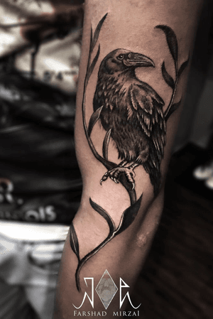 Crow tattoo          by: فرشاد ميرزايي 09394621722