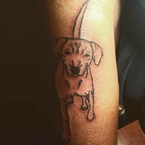 Estrelinha ⭐#tattooart #tattooline #linework #animaltattoo #Black #tattooartist 