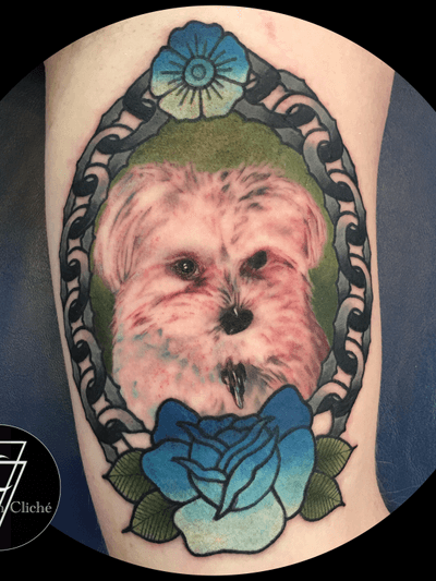 Photo realism dog portrait surrounded by american traditional accents #portait #dogportrait #realism #realismportrait #neotraditional #traditional #animalportraits #colorportrait #stylefusion #customtattoos #firsttimetattoo #dogtattoos #memorialtattoo #memorial
