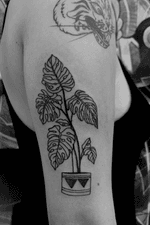 Plant and Pot #planttattoo #armtattoo #blackonly 