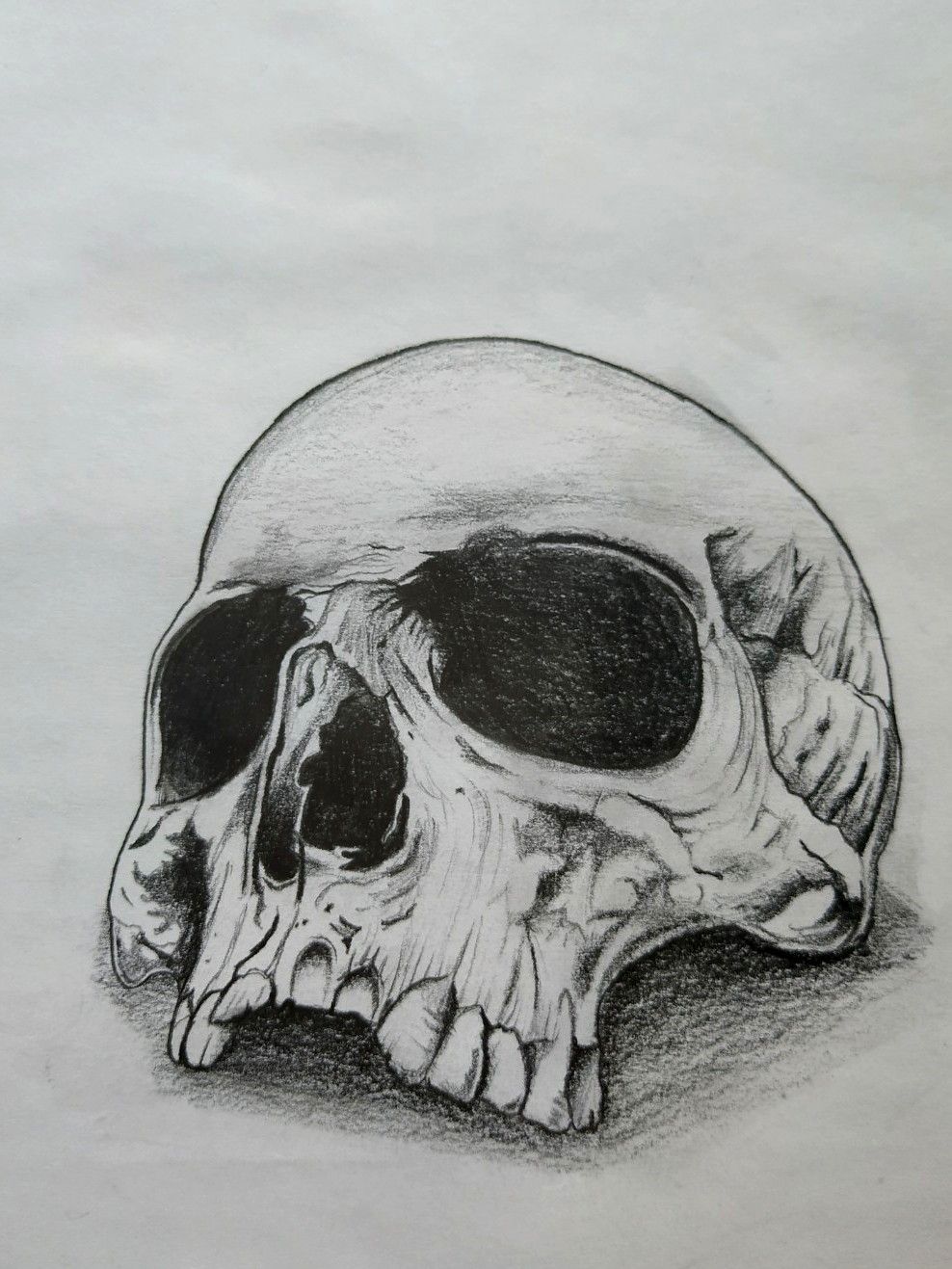 Human skull and bones illustration Skull and crossbones Tattoo Human skull  symbolism Skull And Crossbones Background monochrome head png  PNGEgg