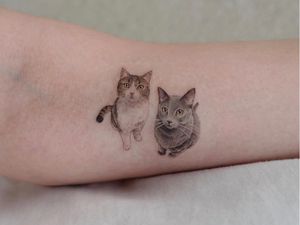 Cat tattoo by Sol #Sol #cattattoos #cattattoo #cat #kitty #cute #animal #petportrait #pet #realism #hyperrealism #realistic #color