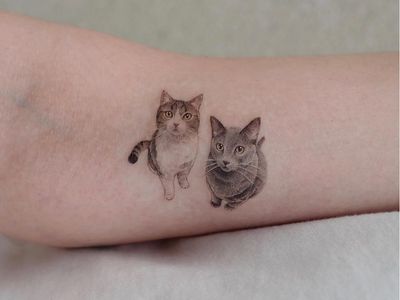 Cat tattoo by Sol #Sol #cattattoos #cattattoo #cat #kitty #cute #animal #petportrait #pet #realism #hyperrealism #realistic #color