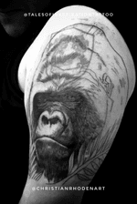 Wicked silverback cover up stared on Gavin! 