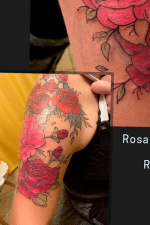 Roses red and pink, second sessions Chile.