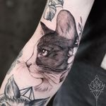 Cat tattoo by Miriam Andrea #MiriamAndrea #cattattoos #cattattoo #cat #kitty #cute #animal #petportrait #pet #blackandgrey #illustrative #linework #flower #arm