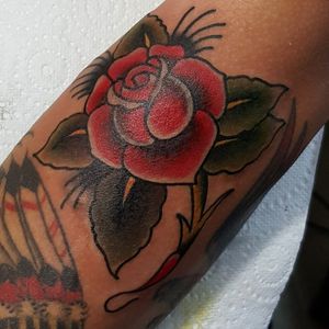 Classic rose cover up