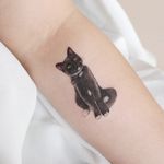 Cat tattoo by Jia aka Paw Tattoo #Jia #PawTattoo #cattattoos #cattattoo #cat #kitty #cute #animal #petportrait #pet #arm #realism #realistic #hyperrealism #color