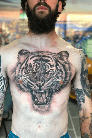 Tiger tattoo chest