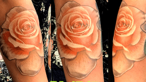 Orange rose tattoo
