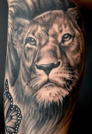 Female Lion Tattoo, #lion #femalelion aritst: tanner drake tattoos @ 12volt tatoo Chico California 