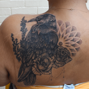 Raven cover up!