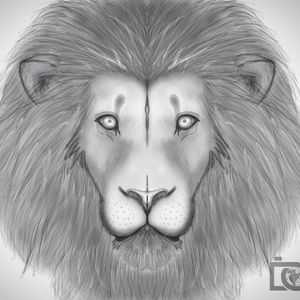 Lion, digital drawing