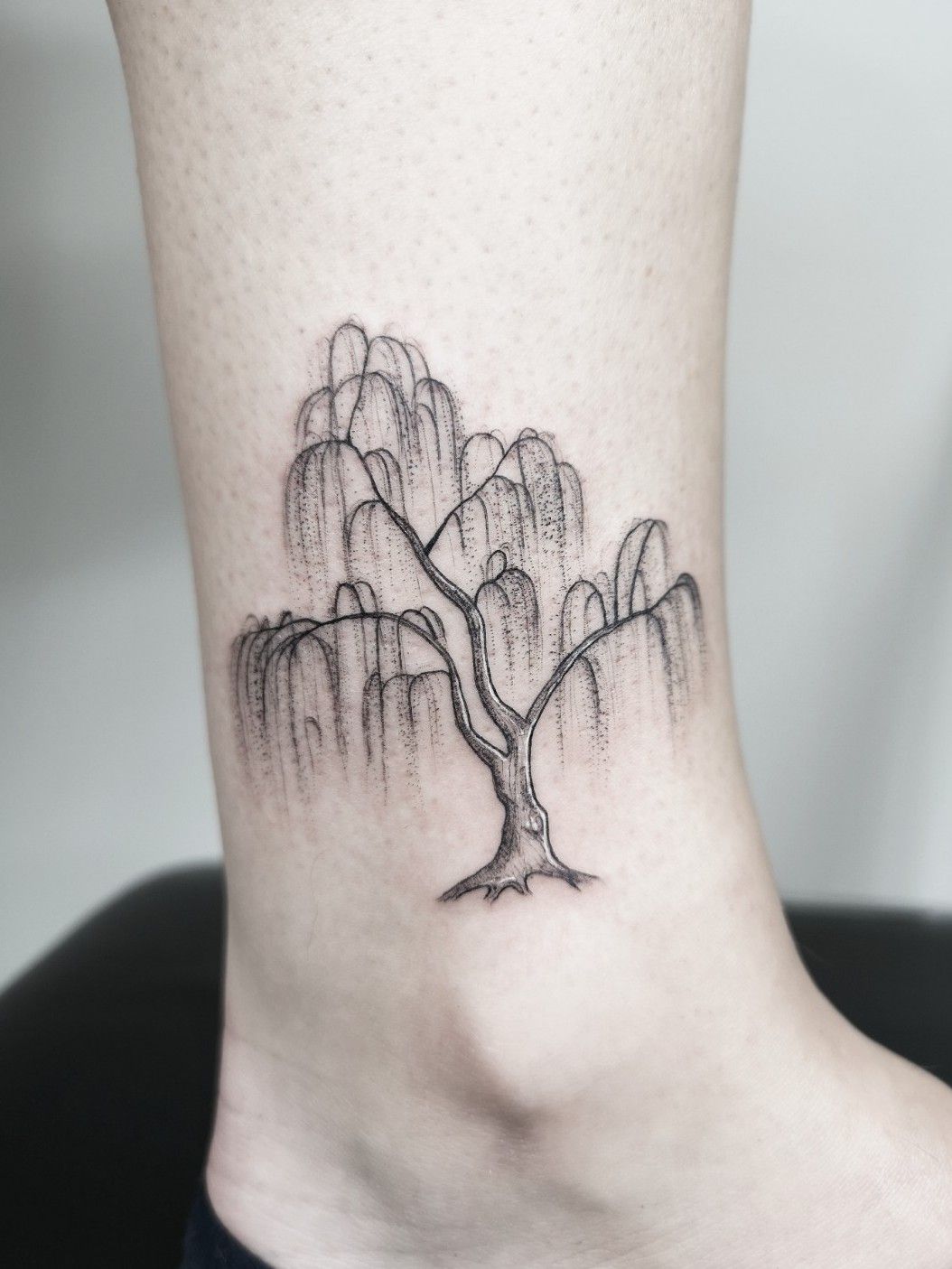 willow tree tattoo drawings