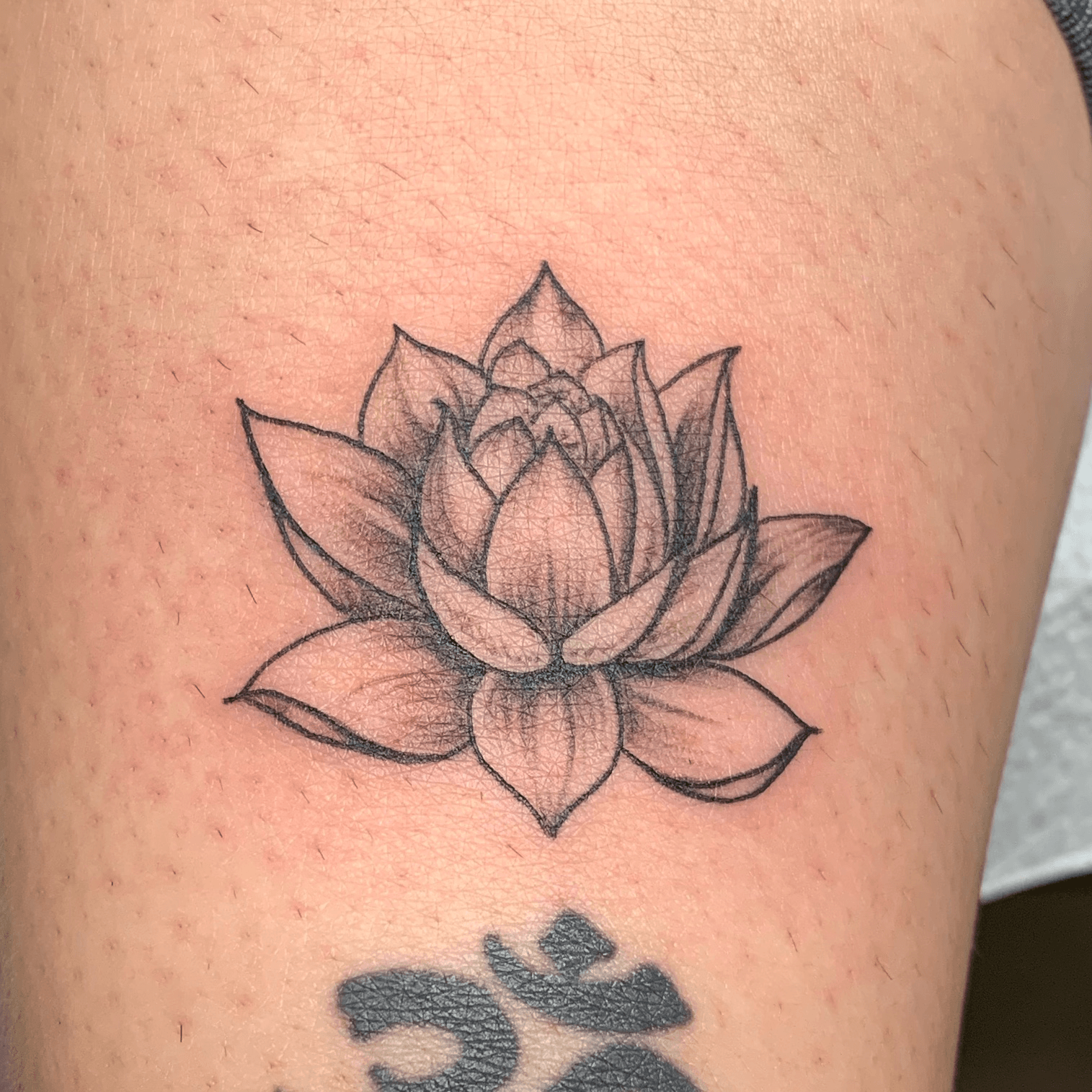 lotus Tattoo Out Of The Darkness Rises Beauty  Tattoo Ideas and Designs   Tattoosai