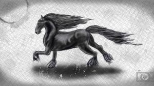 Wild black horse, digital charcoal drawing