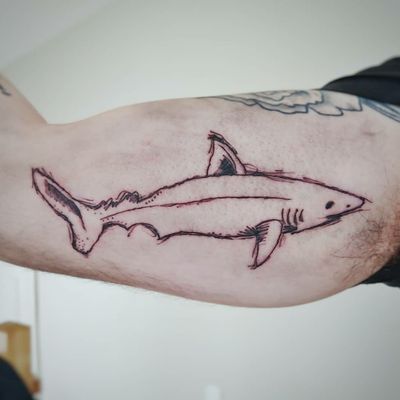 #sketchy #sketchstyle #shark #requin #drawing