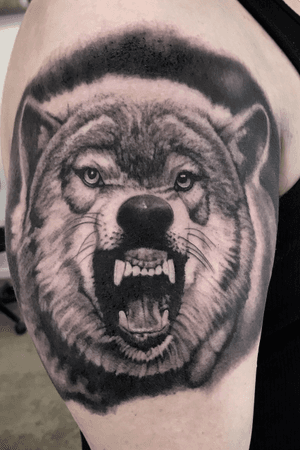 Wolf 1/2 sleeve in progress.  #wolf #wolftattoo