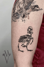 Duck, skeleton