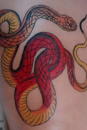 Snake Tattoo #tattoo #desingtattoo #desing #proyect #ink #inked #inkedgirl #inkedlife #inkedwoman #inkedup #femaletattooartist #femaletattoo #womensempowerment #tattooshop #tattoostudio #ensenada #mexico #snake #snaketattoo