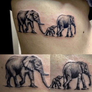 Familia elefantes en microrealismo