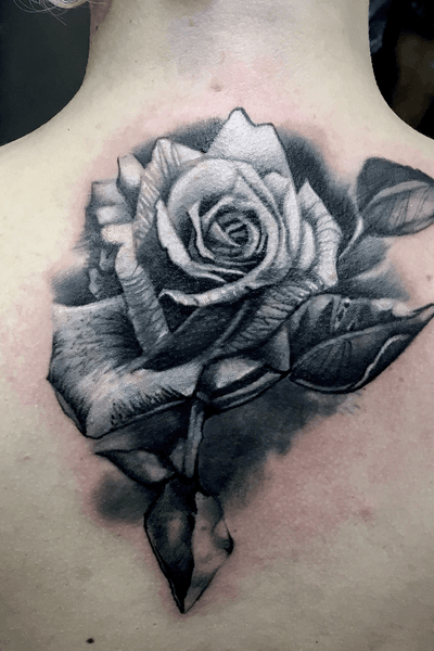 Realistic rose black and gray 