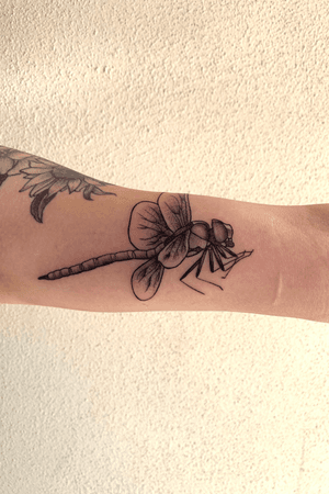 Dragonfly black and grey stipple tattoo, inner arm, medium. 
