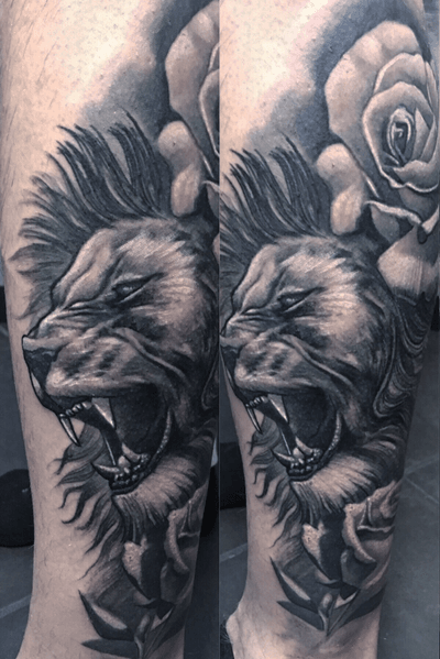 Lion black and gray 