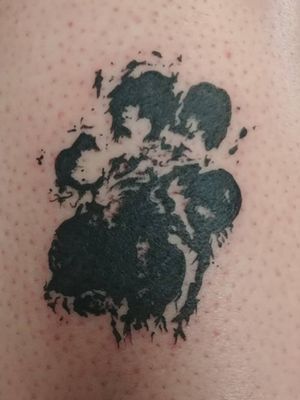 My dogs paw print.  He passed away June 22nd, 2019.  He was a great dog.  Remembering Riddick