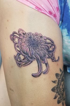 New school style approach to a Chrysanthemum tattoo.Original design by me