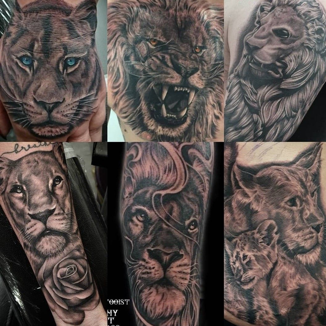 40 Awesome Lion Tattoo Ideas for Men  Women in 2023