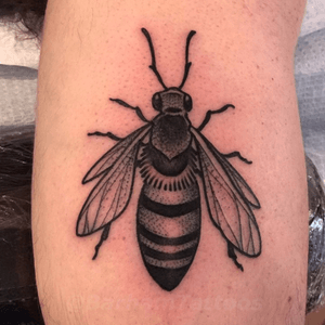 Bee tattoo by Barham Williams at Fable Tattpo Gallery