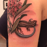 Skink tattoo by Barham Williams at Fable Tattoo Gallery