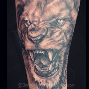 Lion tattoo by Jesse Vardaro at Fable Tattoo Gallery
