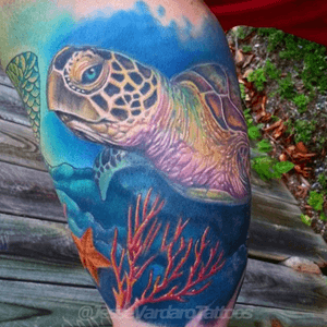 Sea turtle by Jesse Vardaro at Fable Tattoo Gallery