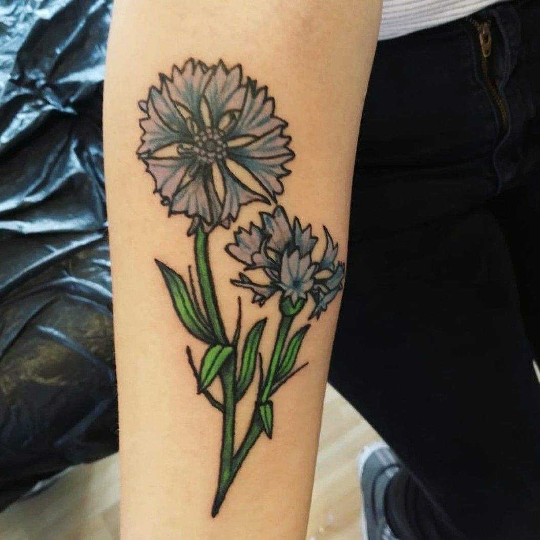 Motor Neurone Disease NZ  Does anyone else out there have a cornflower  tattoo Cornflowers are the international symbol for the resilience shown  by those affected by MND These matching arm tattoos