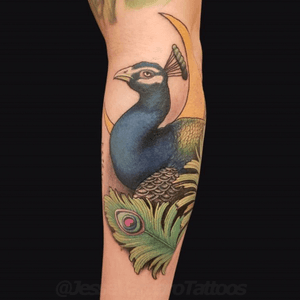 Peacock tattoo by Jesse Vardaro at Fable Tattoo Gallery